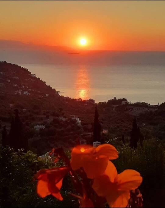 Sunrise House Kymi