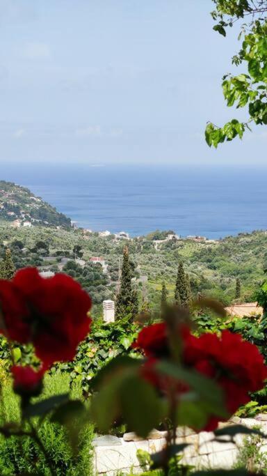 Sunrise House Kymi